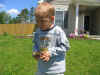 backyard01.JPG (75846 bytes)